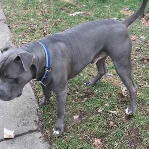 Meet your Posher, Devin